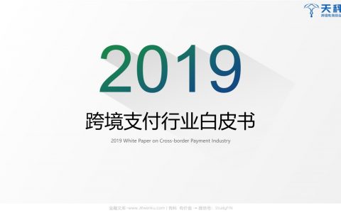 天秤星：2019跨境支付行业白皮书(35页)