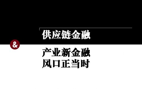 普华永道：供应链金融产业新金融（13页）