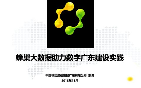 2018广东互联网大会-蜂巢大数据与智慧城市建设实践